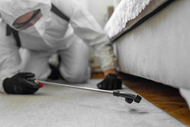 Professional Bed Bug Control technician working in Piney Point Village, TX