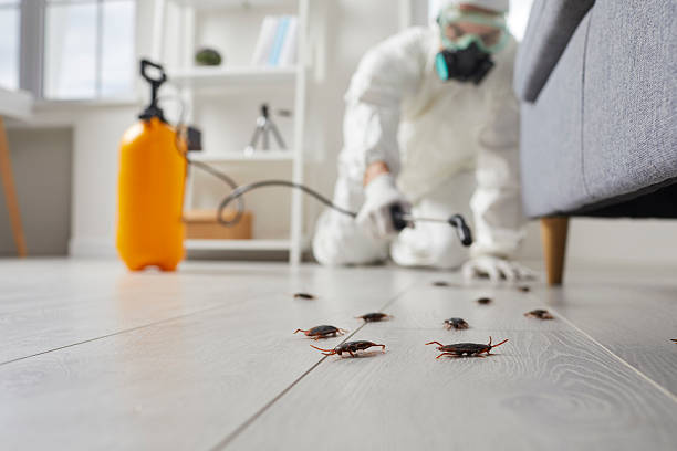 Trusted Fumigation Services service in Piney Point Village, TX - Nex Pest Control