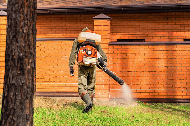 Trusted Rodent Control service in Piney Point Village, TX - Nex Pest Control